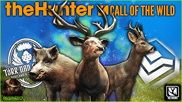 Hunting EVERY Reworked Species On Scotland Ends In A DIAMOND Roe Deer! Call of the wild EARLY ACCESS