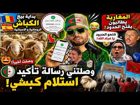 بداية بيع الكباش🐑 الرومانية والإسبانية🇩🇿🔥وصلتني رسالة تأكيد الحجز😂…والمراركة🇲🇦 يطالبون بفتح الحدود!🤯