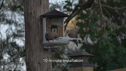 BROAIMX Smart Bird Feeder Review BF21