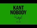 Lil Wayne Kant Nobody Feat DMX 432hz 