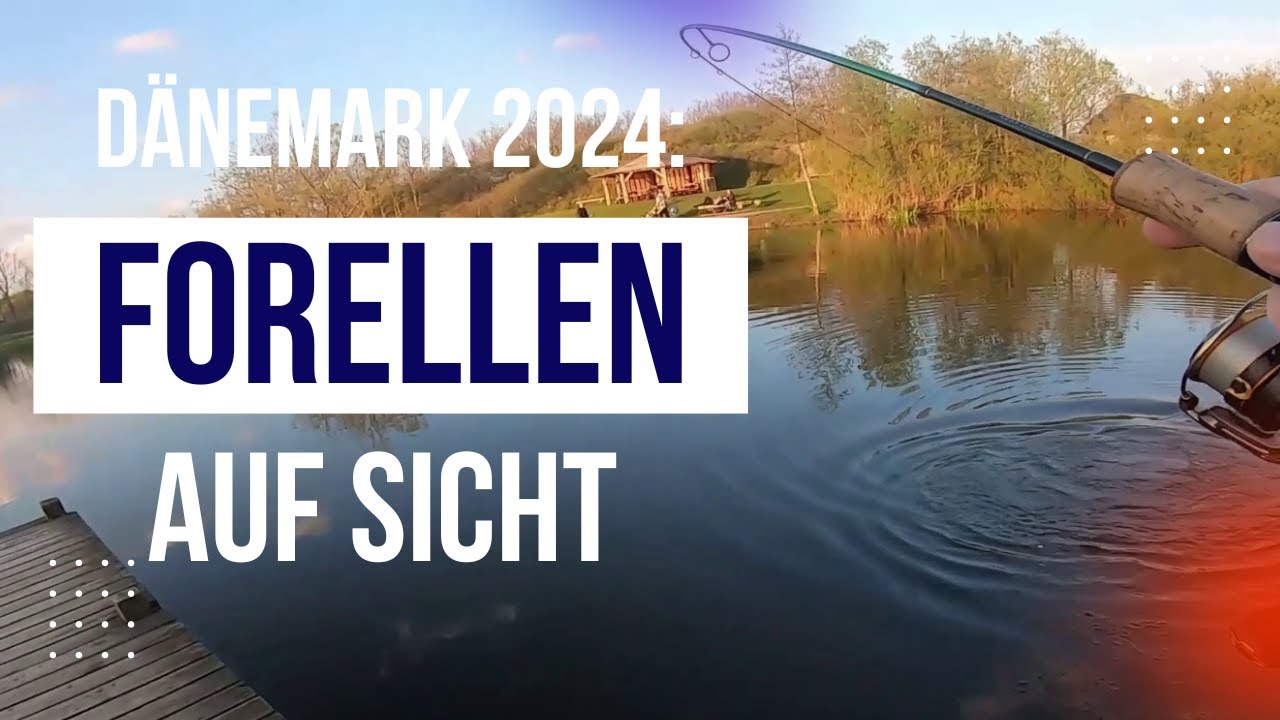 So fängt man: Die besten Köder in Dänemark | Lachsforellen auf Sicht 🎣