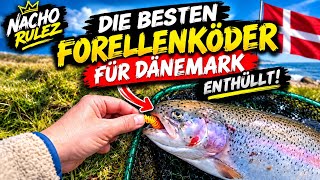 Forellenangeln In Dänemark Die Besten Köder Für Lachsforellen Ul Tipps Bisse