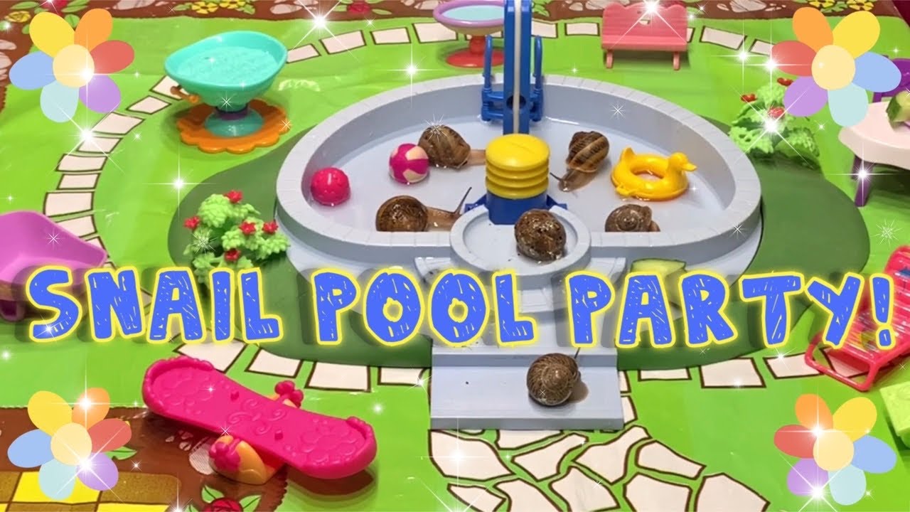 Snail Pool Party ~ Snail Garden Party & Picnic ~ Unusual Pets! Snails Having Fun In The Pool!