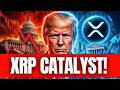 XRP HOLDERS THIS ONE CATALYST COULD CHANGE THE MARKET TREND, HERE IS WHY (XRP NEWS TODAY) 🔥