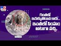 Lion tries to stop tourists safari vehicle, video goes viral