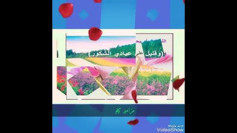 القارئ: أيوب أمزيل #مزامير_كيلو14