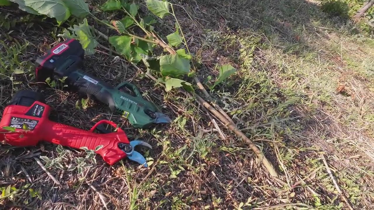 PAAS 20-Li Vs PROGREEN PGF 16,8 L  cesoie a batteria  CHALLENGE PAAS 20-Li Vs PROGREENL  shears