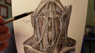 The Real Reason to Train Your Neck