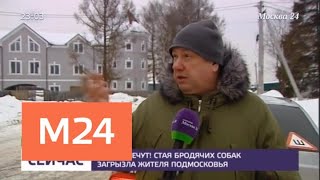 Уличные собаки загрызли насмерть мужчину - Москва 24 Уличные собаки загрызли насмерть мужчину - Москва 24