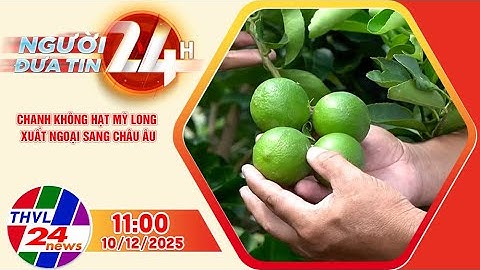 Người đưa tin 24H (11h00 ngày 10/12/2025): Chanh không hạt Mỹ Long xuất ngoại sang Châu Âu