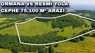 1719- Ormana Ve Resmi̇ Kadastro Yola Cephe 75100 M² Arazi̇