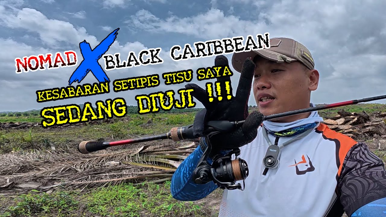 RINGKAS KUAT DAN MENGASIKKAN!!! TESTFIELD DAIDO NOMAD X BLACK CARIBBEAN