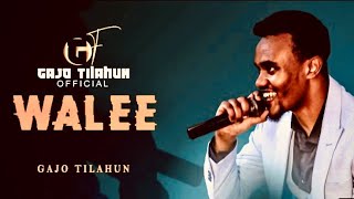 Gajo Tilahun- WALEE- New Oromo Music video2024 #GajoTilahun #wallaggaa #neworomomusic2024