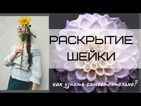 Как определить раскрытие шейки матки самостоятельно?