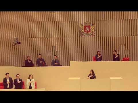 \"2014 წლის მოწვევის\" გახსნა - თეონა ლავრელაშვილი