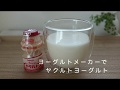 ヨーグルトメーカーでヤクルトヨーグルト　乳酸菌たっぷりで免疫力アップ