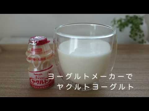 ヨーグルトメーカーでヤクルトヨーグルト 乳酸菌たっぷりで免疫力アップ Youtube