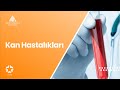 Doç. Dr. Figen Atalay / Kan Hastalıklarının Tedavisi