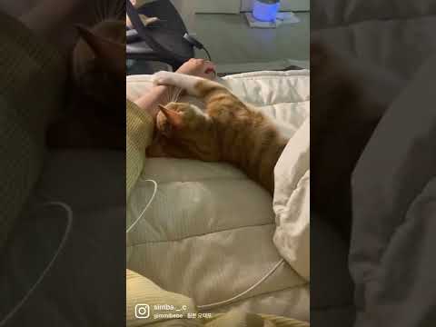 고민중💬