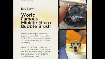 Minicle Micro Bubble Brush Detox Naturally for Itchy & Stink Smelly Dog!