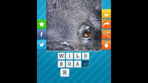 Close Up Animals 2015 Level 14 Answers 1-10