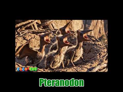 Mommy! Where are you? Mommy! ft. Pteranodon #Shorts ㅣCoCosToy