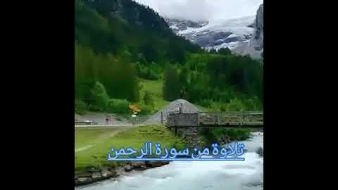 القارئ يسلم بن وبر الحضرمي