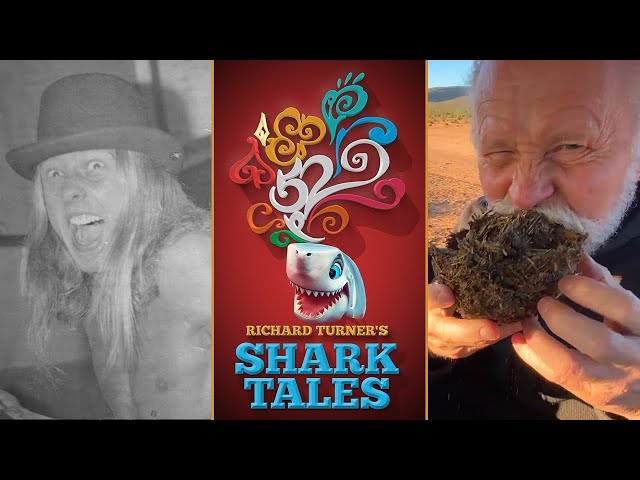 Richard Turner: Funny & Nuts - Shark Tales #4