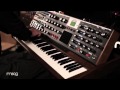 Richard Vogel of Galactic meets the Minimoog Voyager XL