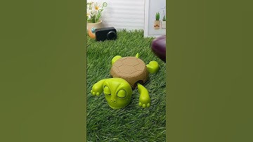 What do you want me to put on top of this turtle? #turtlecoaster #turtle #coaster #140