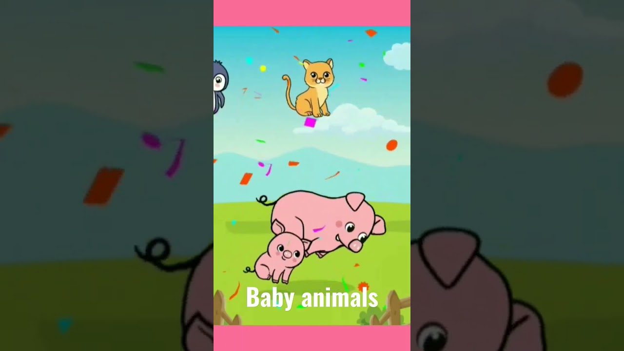 baby animals 