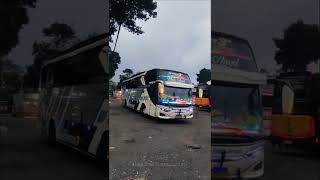Viral Telolet Ale Ale Ale!!! Bus Arto Rejo Trans White Angel