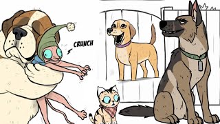 🐾 Best Moments Pixie & Brutus Video collection! #collection #comics 