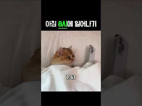 7시 30분: 10분만 더…#shorts