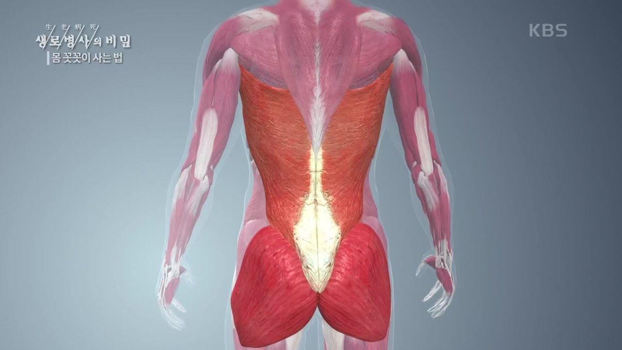 척추 근육 강화 운동 [생로병사의 비밀] | KBS 200930 방송