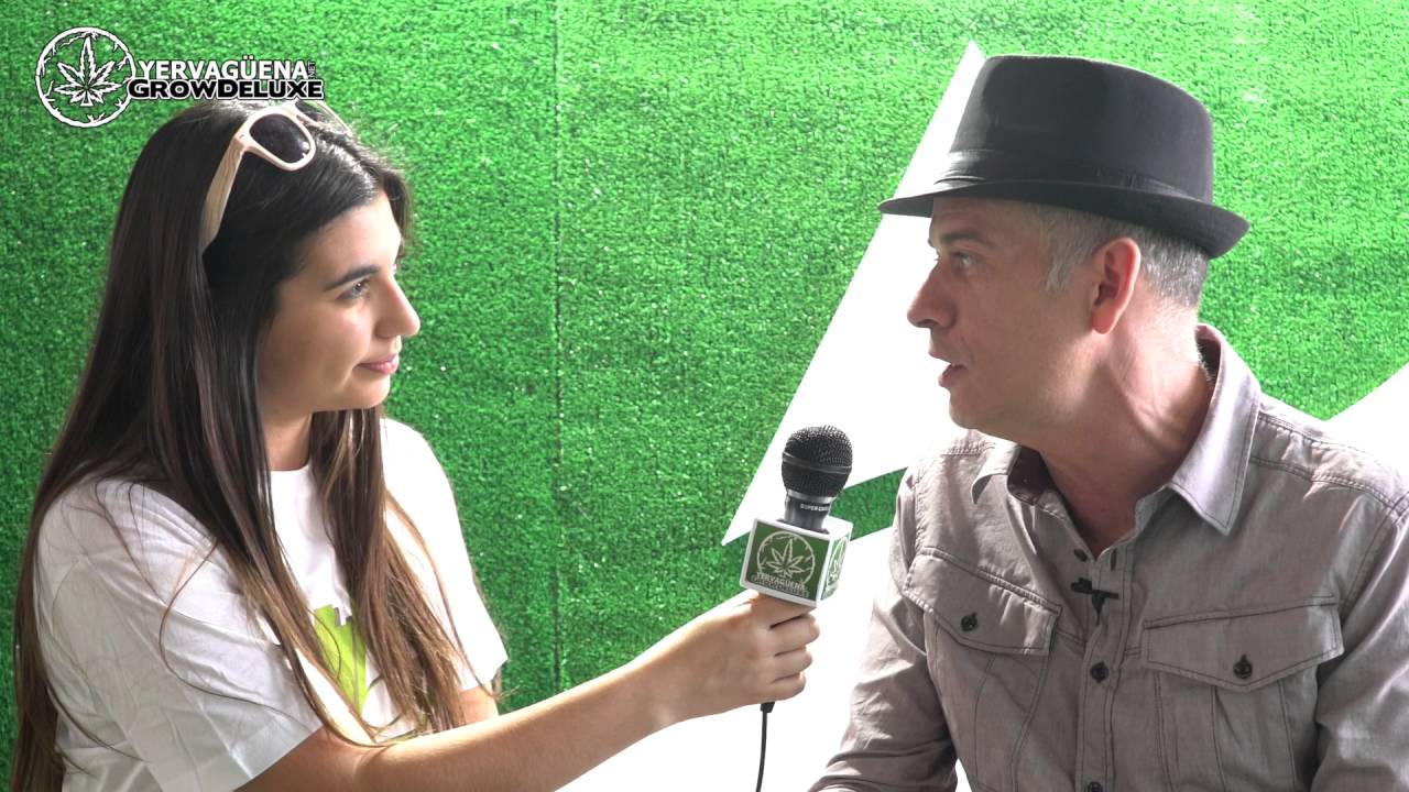 La resinosa Super OG Kush de Pyramid