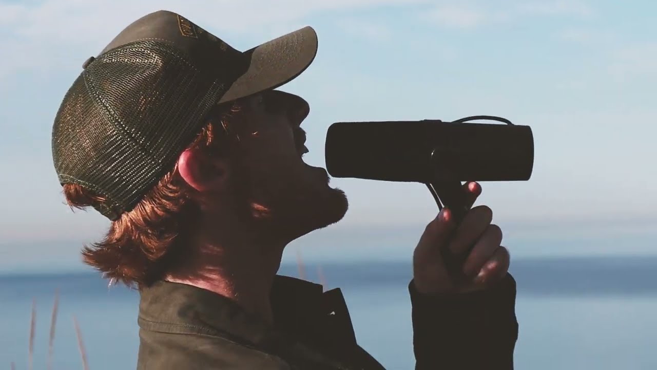 Guarda Matt Hansen - Titanium (Cover) su YouTube Guarda Matt Hansen - Titanium (Cover) su YouTube