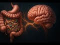 O Outro Cérebro no Seu Corpo: Por Que a Microbiota Manda nos Seus Pensamentos?