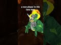 A new gtag player in the lava VIM. #ishowspeed #gorillatag #gorillatagquest #vr #gtag #gorillatagvr