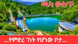 Addis Ababa's Best Kept Secret: A Day at Entoto Park