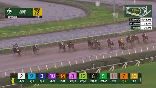 Vidéo de la course PMU PRIX BLUES MUSIC