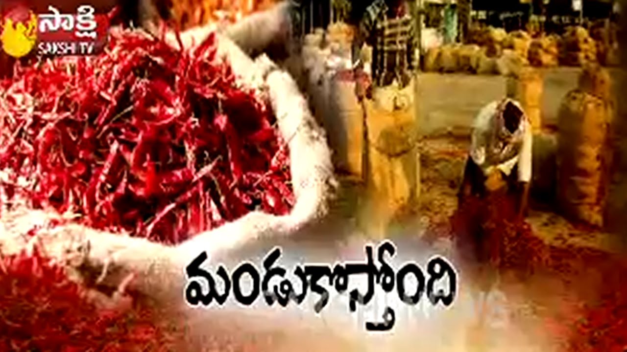Mirchi Farmers Facing Problems with Marketing and Price || Sakshi Magazine Story -Watch Exclusive