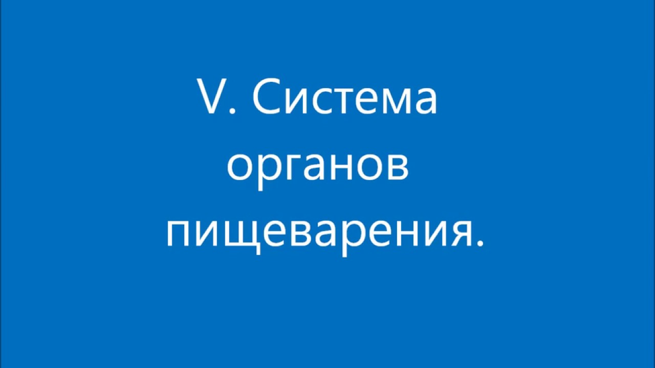 ⁣Тест по Пищеварительной системе
