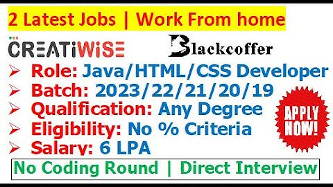 Creatiwise + Blackcoffer are hiring 2023/22/21/20/19 batch | Direct Interview | No % Criteria