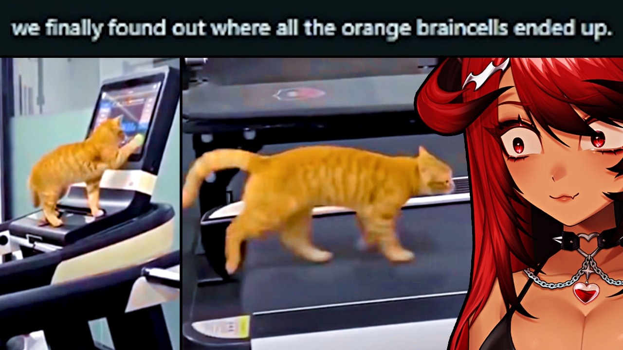 Reacting to r/Maybemaybemaybe