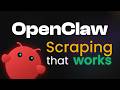 How to Scrape the Web With OpenClaw and Decodo