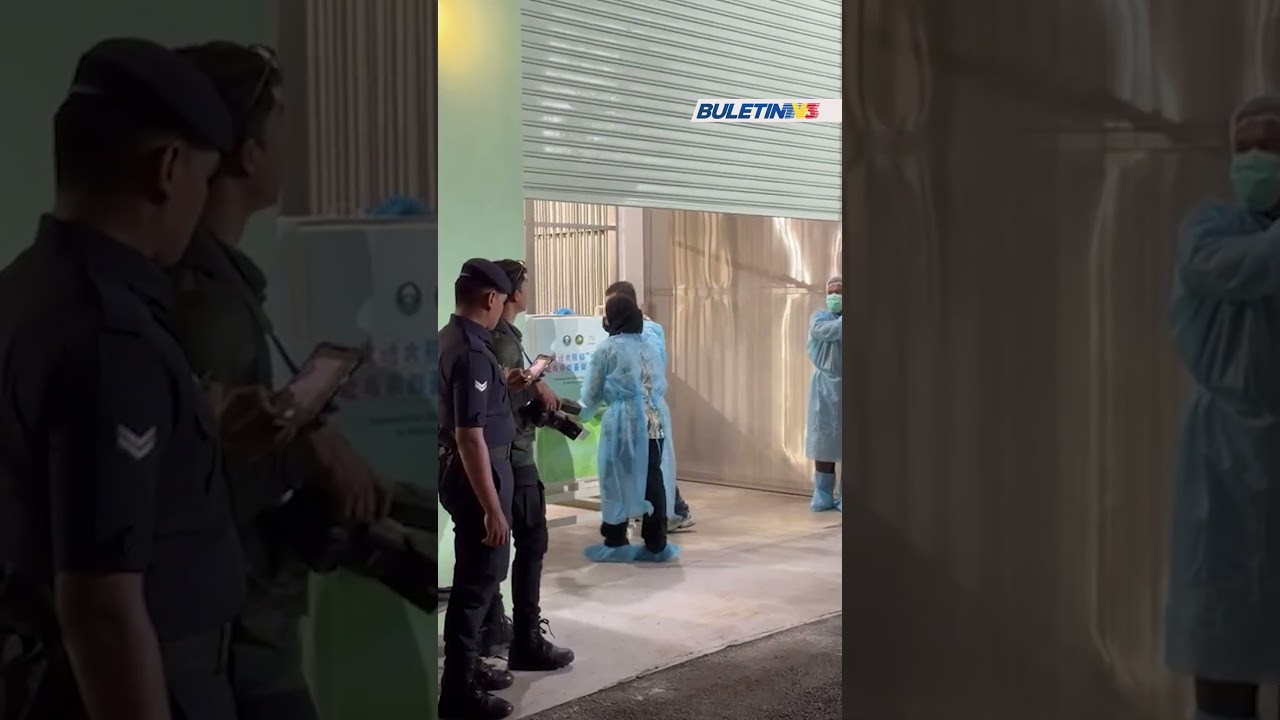 PASANGAN PANDA GERGASI | Chen Xing, Xiao Yue tiba di Zoo Negara