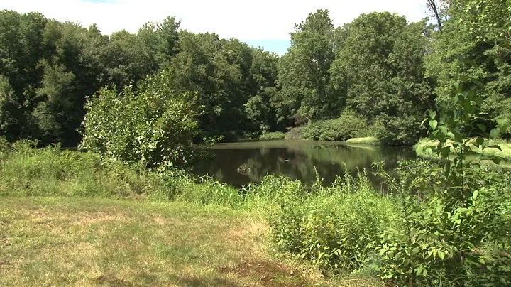 Save Cranbury News Conf.: Celia Maddox Reads State...