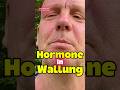 Rotklee gegen Hormonelle Wallung #gesundheit #naturheilkunde #pms #menopause
