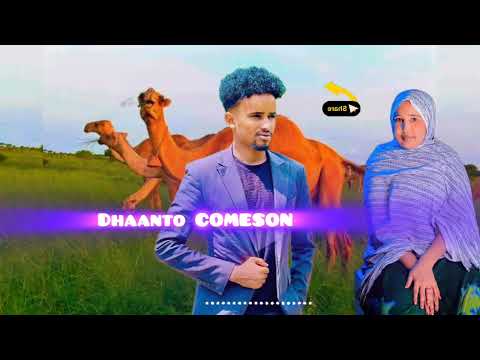 DHAANTO CUSUB SAYNAB AGAH IYO ABWAAN YARE KALAY HUNOOY 2026 